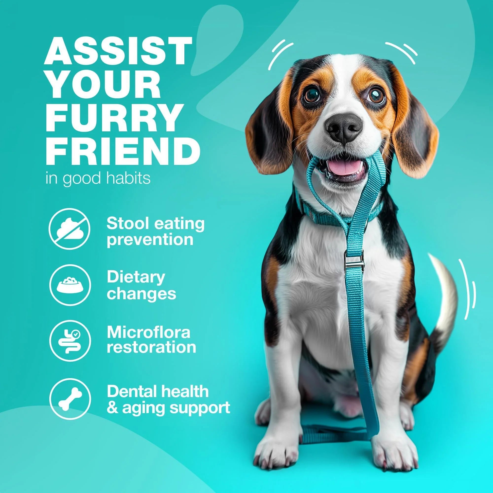 No Poo Chews for Dogs Coprophagia Deterrent for Dogs Forbid for Dogs Stool Eating Deterrent Dog Probiotics for Digestive Health Digestive Gut & Immune Health Treats No Poop Eating for Dogs