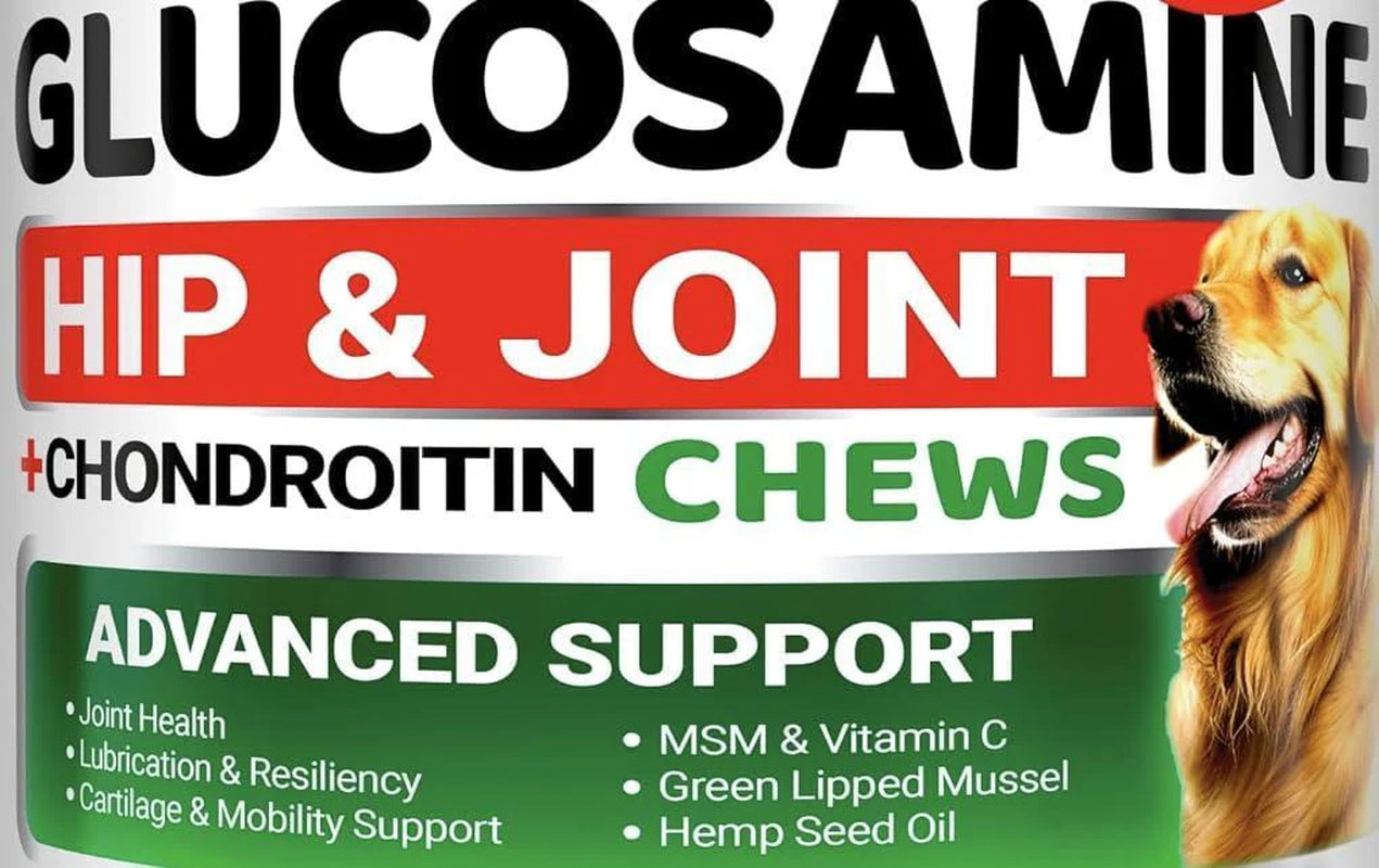 YUMA'S Glucosamine for Dogs Hip and Joint Supplement for Dogs 240 Ct Glucosamine Chondroitin Chews Joint Pain Relief Supplement with MSM Advanced Health Mobility Support Made in USA