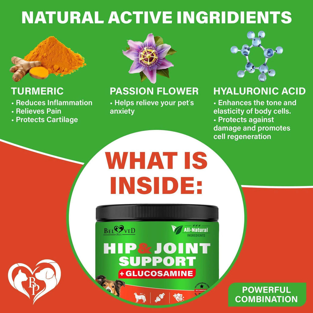 Dog Hip and Joint Supplement & Arthritis Pain Relief Treats Glucosamine Chondroitin MSM Soft Chews for Senior Dogs Natural Medicine & Support Mobility Turmeric Vitamins for Dysplasia USA